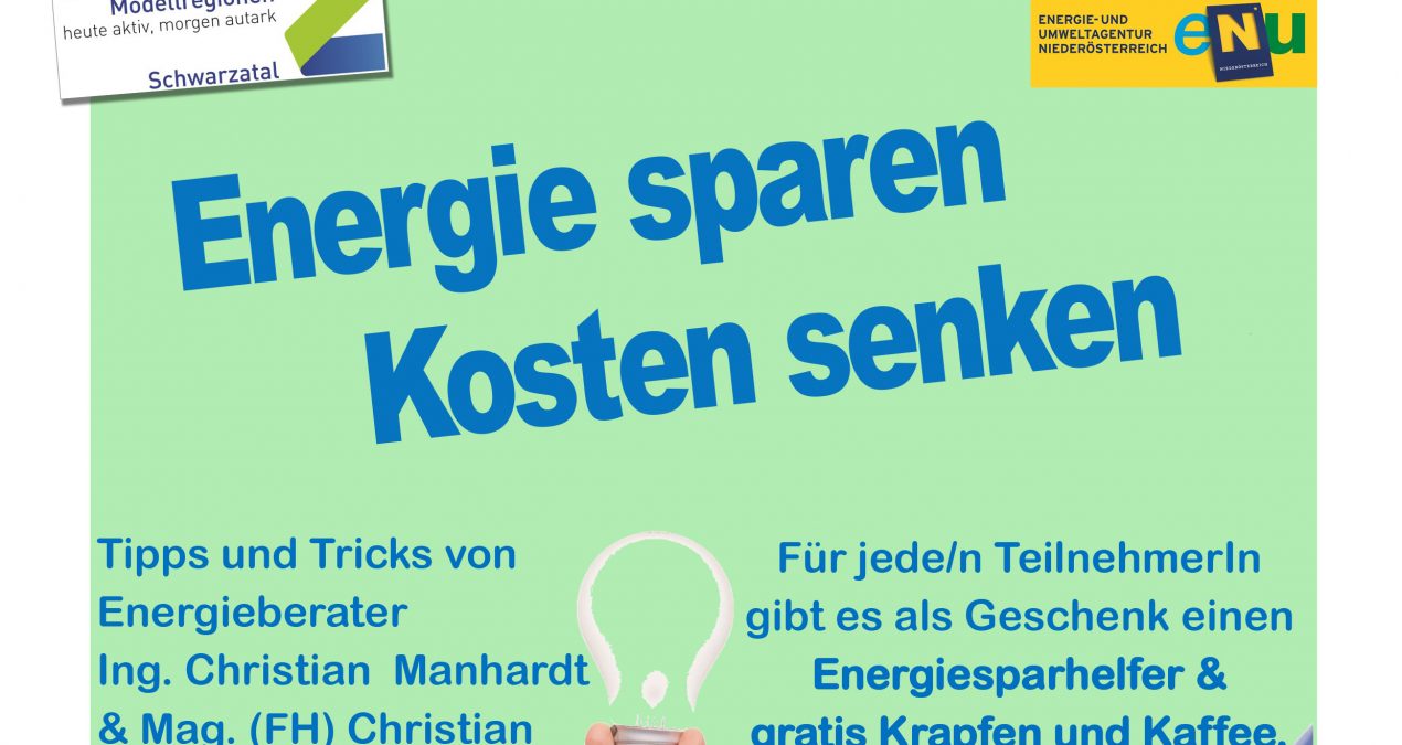 Energie sparen, Kosten senken